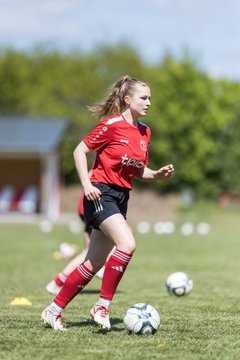 Bild 1 - F SG NieBar - IF Stjernen Flensborg : Ergebnis: 2:0